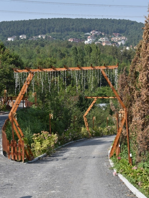 Orman Kır