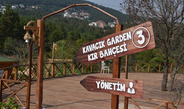 Orman Kır