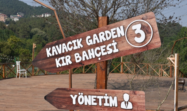 Orman Kır