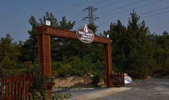 Orman Kır