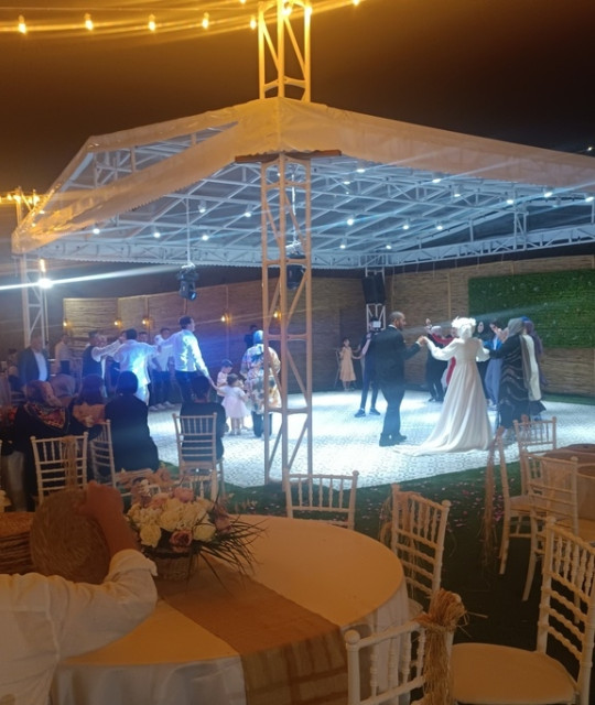 Orman Kır