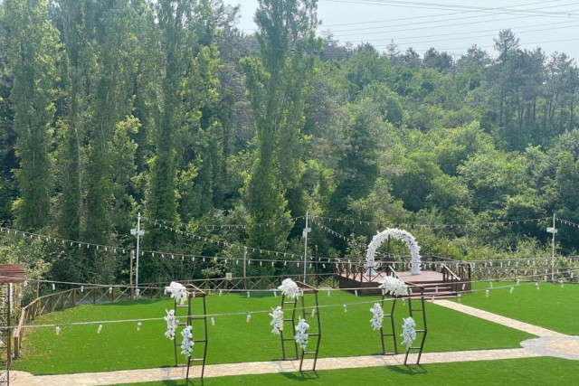 Orman Kır