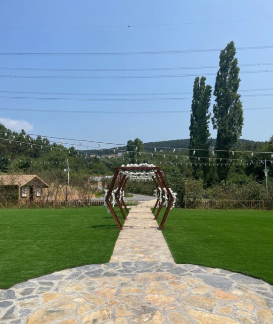 Orman Kır