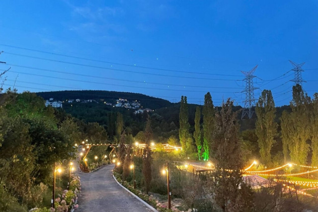 Orman Kır