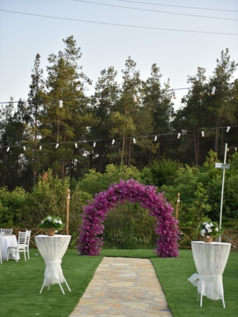 Orman Kır