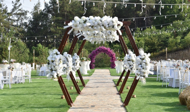 Orman Kır