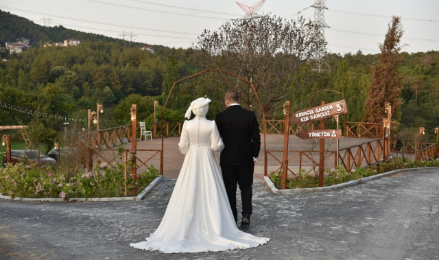 Orman Kır
