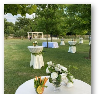Riva's Club Well Garden
