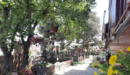 Flora Garden Kır Bahçesi