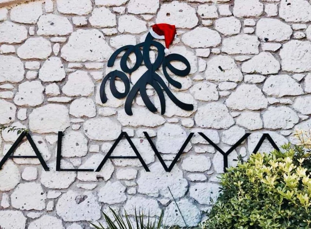 Alavya