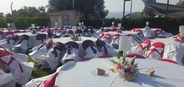 Badem Çiçeği