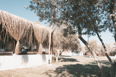 Zeytincir