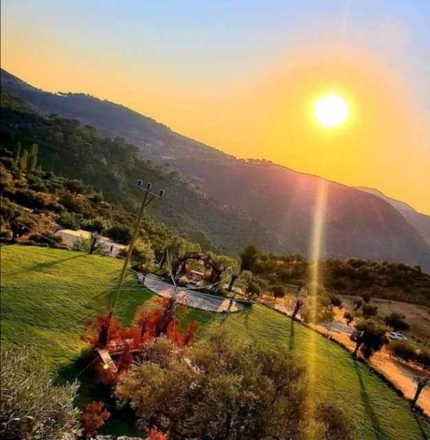 Lindos Garden