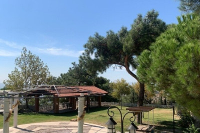 Polen Restoran