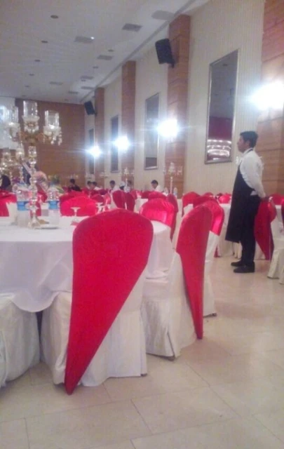 Salon Viyana
