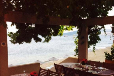 Çınar Ağacı Restaurant