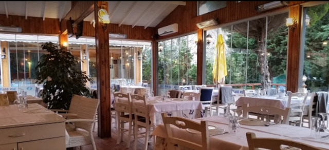 Şen Balık Restaurant