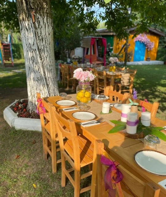 Sesa Garden