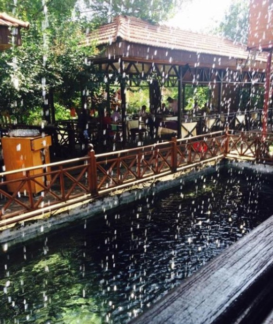 Ali Dayının Yeri Balık Restaurant Merkez