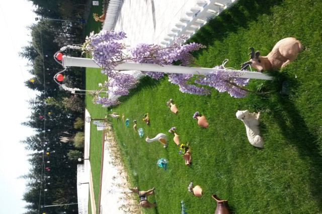 Rose Garden Kır Bahçesi