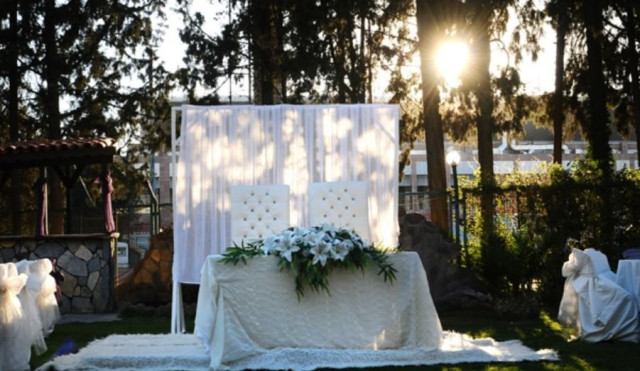 Bordo Yeşil Garden