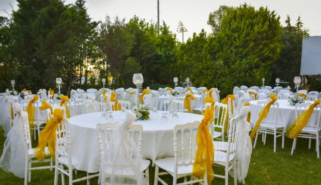 Bordo Yeşil Garden