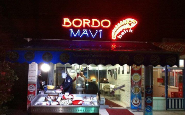 Bordo Mavi Balık