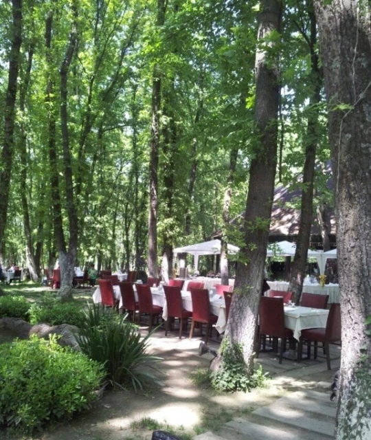 Meşelik Park Sapanca