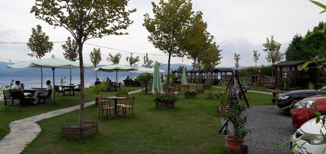 Sapanca Ehlikeyf Canlıbalık