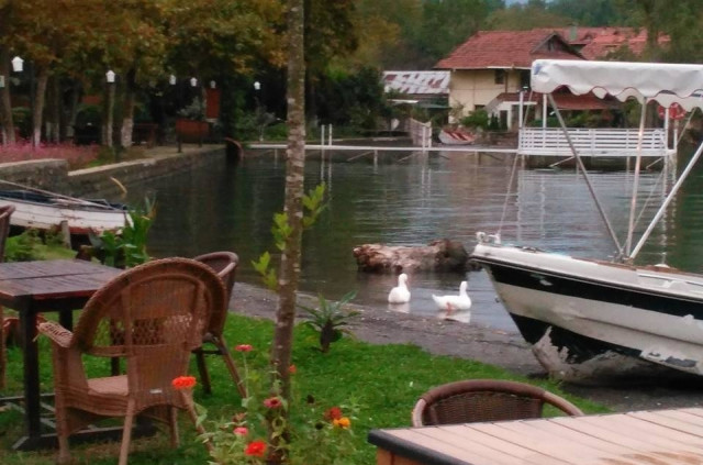 Sapanca Ehlikeyf Canlıbalık