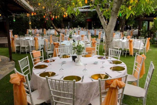 Mehmet Restaurant Dream Garden