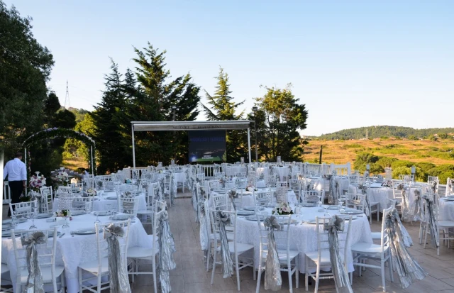 Mehmet Restaurant Dream Garden