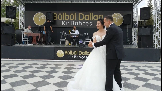 Bülbül Dalları