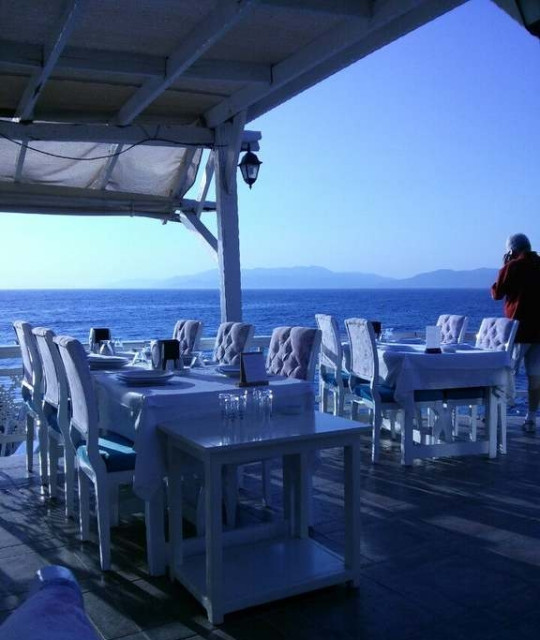 Tarihi Çınar Balık Restaurant