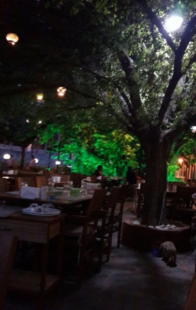 Tarihi Çınaraltı Restaurant