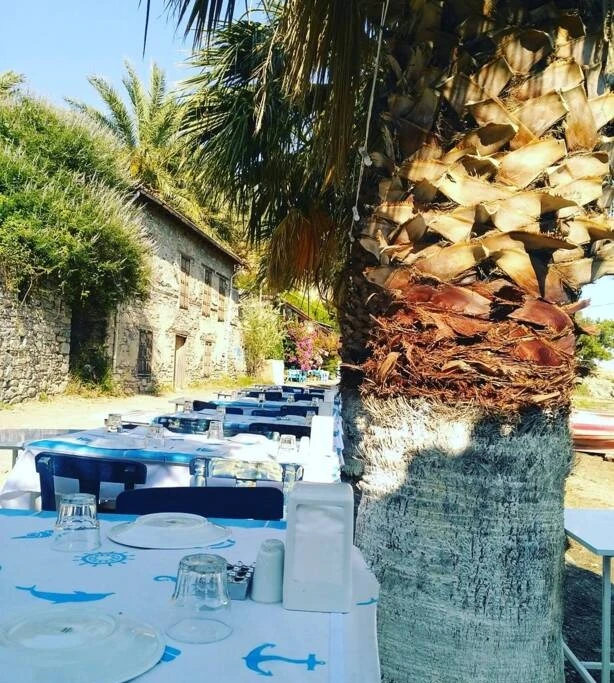 karina-palmiye-restaurant-07xE2dL