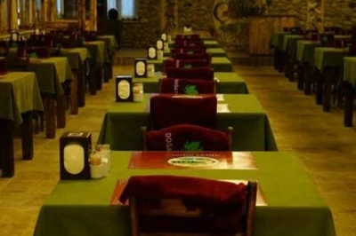 Damla Deresi NoNoChef Restaurant