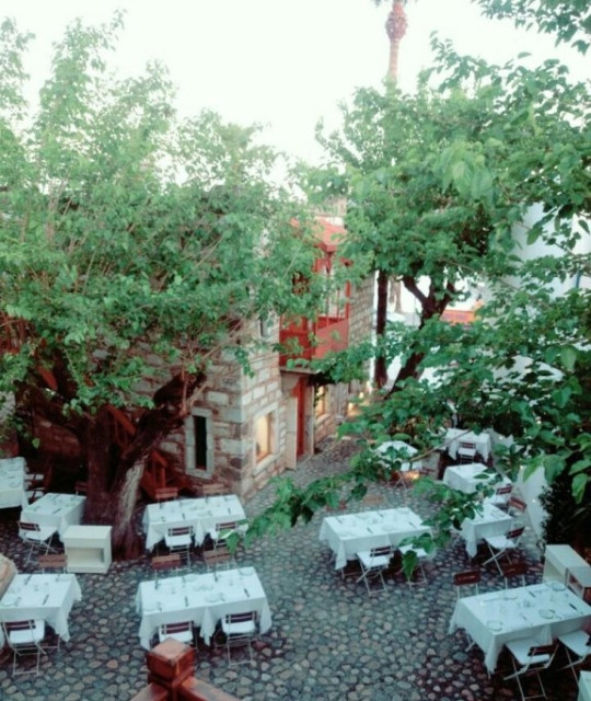 Kocadon Restaurant