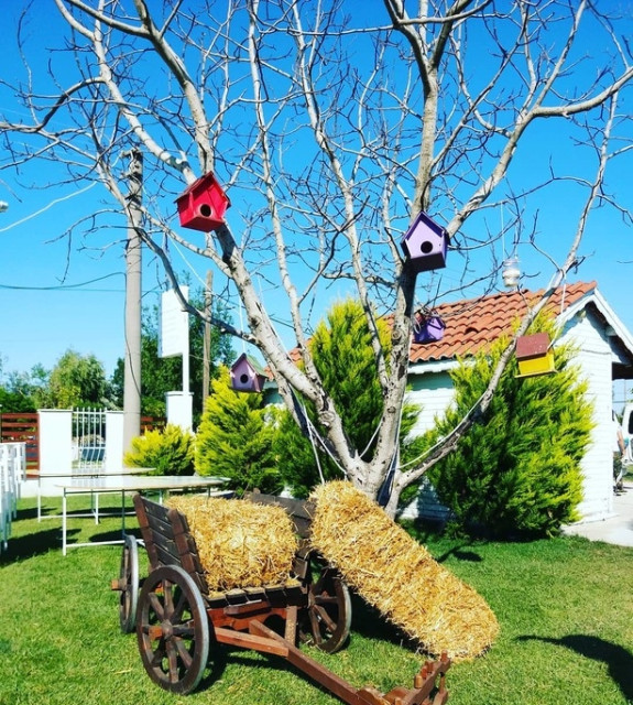 Denizkuşu Kır Düğünü