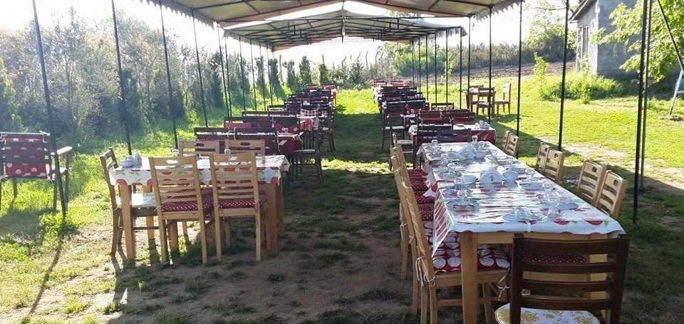 organica-restaurant-0TzarGl