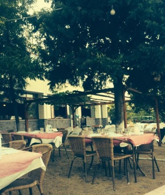 tepe-restaurant-0svmvda