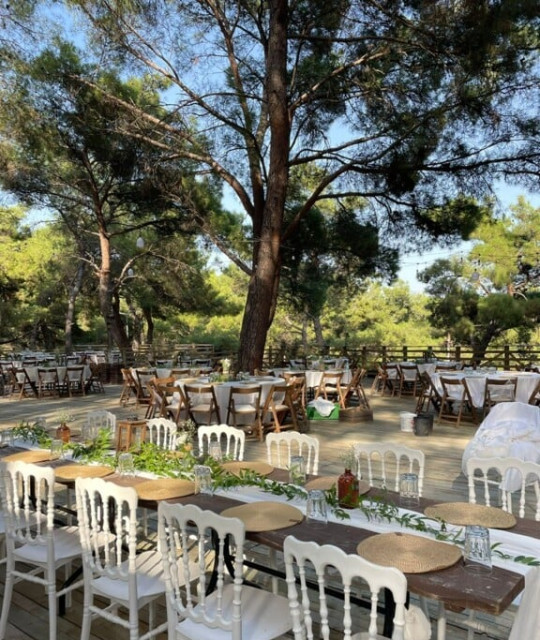 İzmir Şehir Ormanı