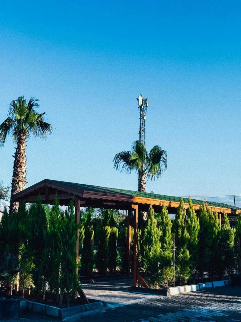 Çınar Garden Wedding House