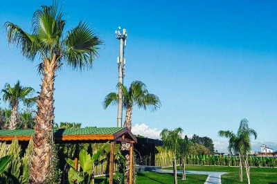 Çınar Garden Wedding House