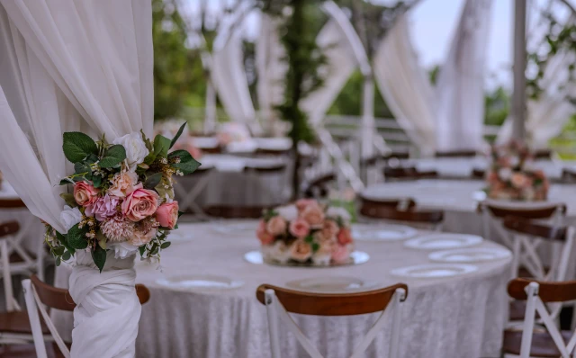 Bambi Garden O Ağacın Altı