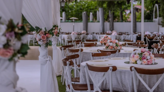 Bambi Garden O Ağacın Altı