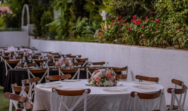 Bambi Garden O Ağacın Altı