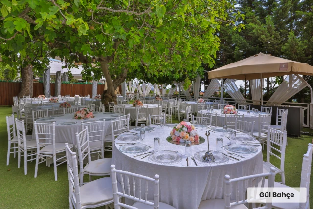 Bambi Garden O Ağacın Altı
