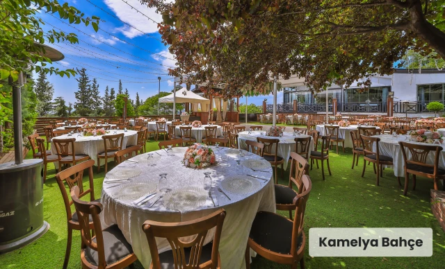 Bambi Garden O Ağacın Altı