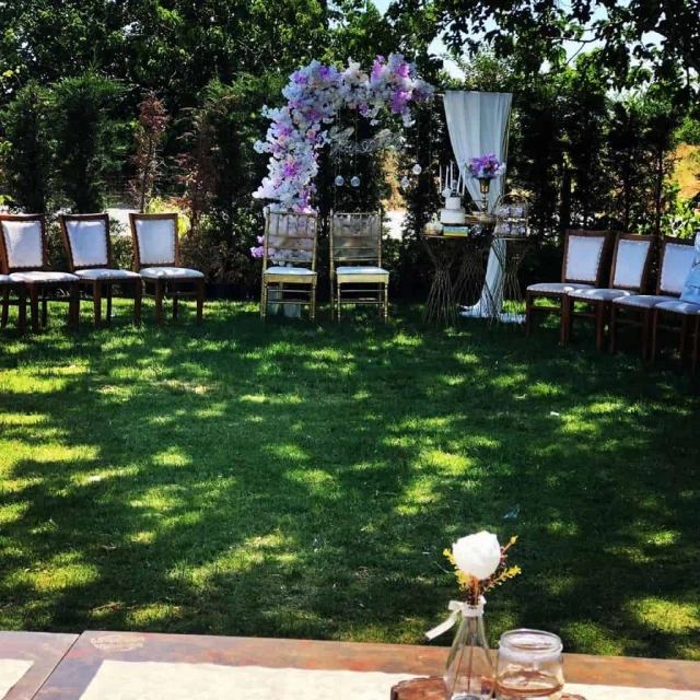 Wonder Wedding